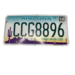 Arizona Grand Canyon State License Plate Cactus 2019 Passenger Vehicle